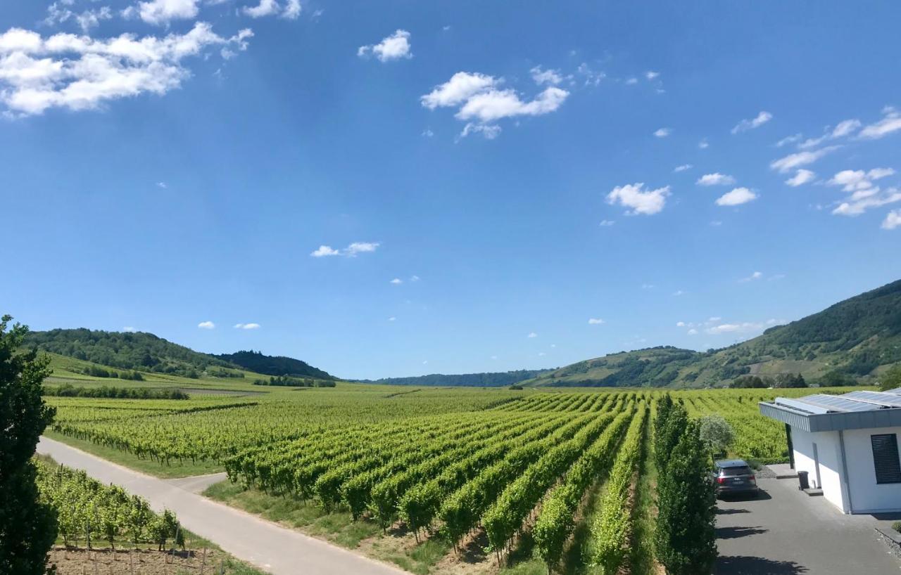 Weingut Gehlen-Cornelius Hotel Brauneberg Kültér fotó