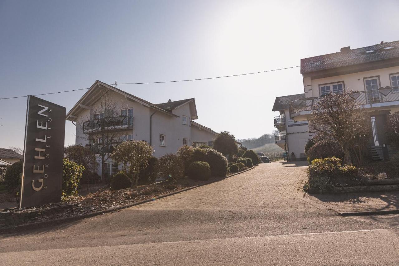 Weingut Gehlen-Cornelius Hotel Brauneberg Kültér fotó