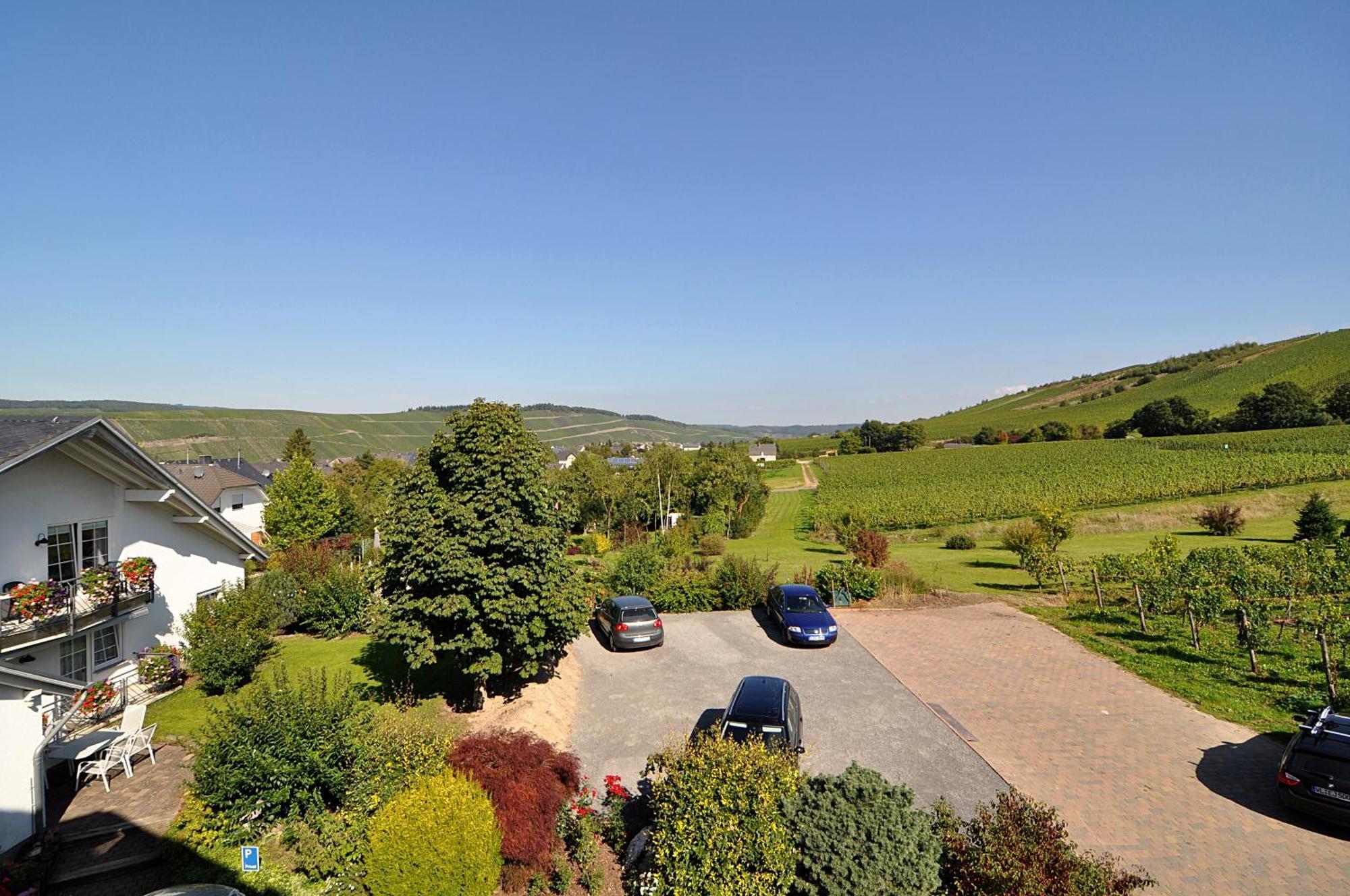 Weingut Gehlen-Cornelius Hotel Brauneberg Kültér fotó
