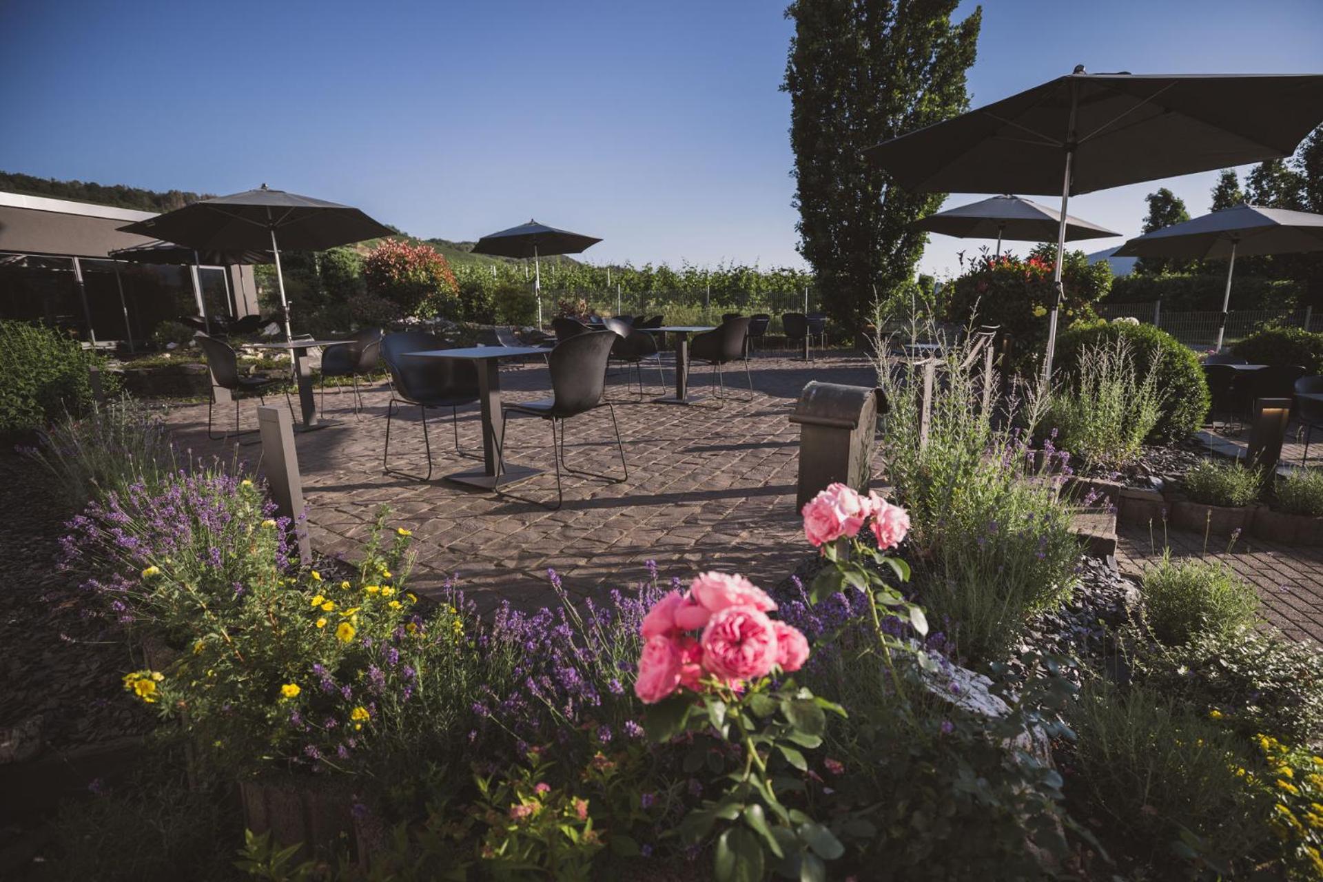 Weingut Gehlen-Cornelius Hotel Brauneberg Kültér fotó