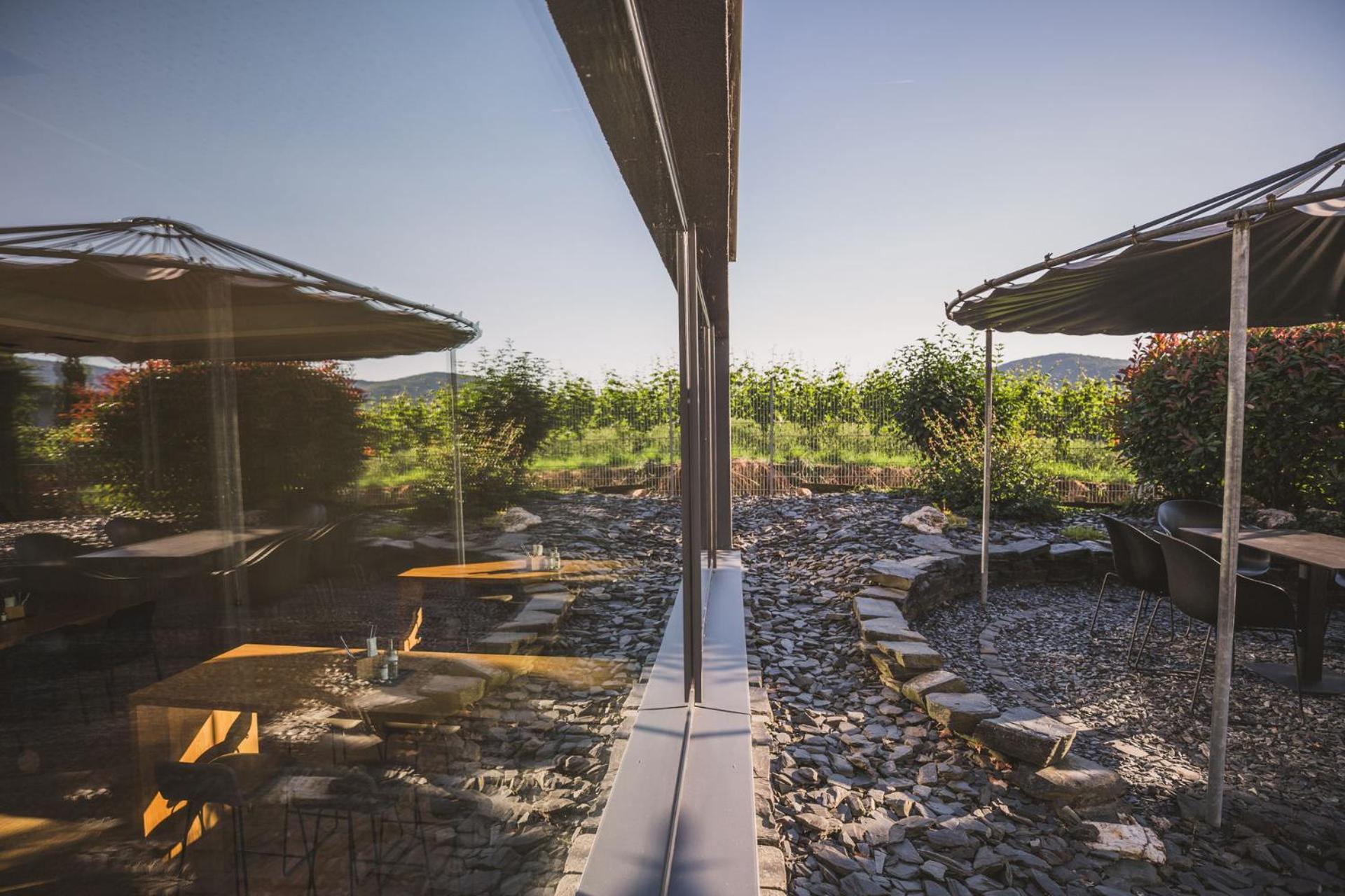 Weingut Gehlen-Cornelius Hotel Brauneberg Kültér fotó