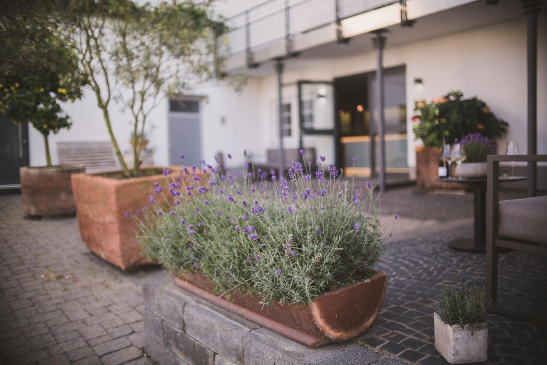 Weingut Gehlen-Cornelius Hotel Brauneberg Kültér fotó